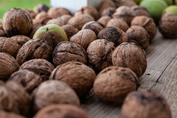 The background is made of walnuts lying on a plane. a walnut in a dry peel and in a green peel is plucked from a tree. High quality photo