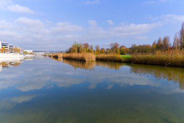 Scenic view of lake with reed and modern apartment buildings with blue cloudy sky on an autumn day at Swiss town of Opfikon Glattbrugg. Photo taken November 8th, 2024, Zurich Opfikon, Switzerland.