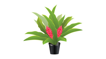 Red Ginger Flower with Green Leaves – Vector Design.