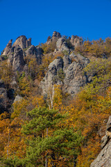 Golden autumn in the forest and mountains along the Donau river in Austria. Wachau region, Vogelberg mountain in the autumn season with yellow and orange leaves on the trees. Yellow leaf on october