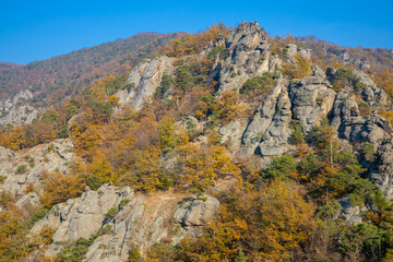 Golden autumn in the forest and mountains along the Donau river in Austria. Wachau region, Vogelberg mountain in the autumn season with yellow and orange leaves on the trees. Yellow leaf on october