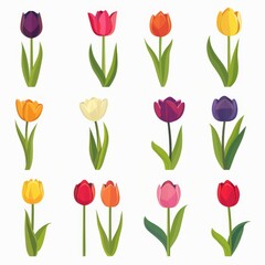 Tulip Flower Icon Set, Garden Tulip Flower Flat Design, Abstract Tulip Flower Symbol, Simple Flowers