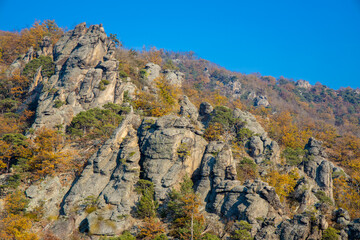 Golden autumn in the forest and mountains along the Donau river in Austria. Wachau region, Vogelberg mountain in the autumn season with yellow and orange leaves on the trees. Yellow leaf on october
