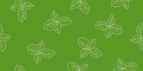 Seamless pattern with fresh basil leaves outline on green background, vector