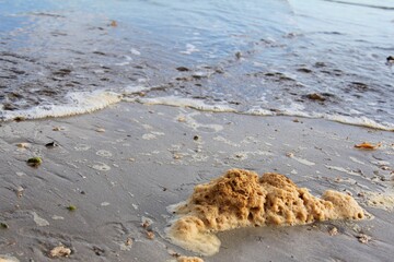 Sea in Alagoas, Brazil