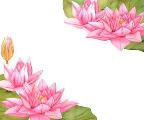 Watercolor Lotus Flower Frame. Hand Drawn Water Lily botanical Illustration with green leaves on isolated background. Pink tropical Flowers for invitations, print and card design