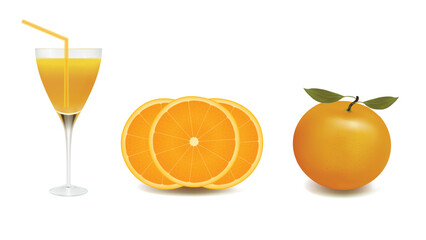 Freshly Squeezed Orange Juice vector