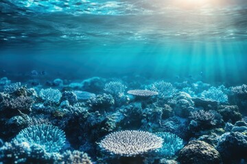 Fototapeta premium Vibrant coral reef ecosystem thriving beneath sunlight in a clear, blue ocean environment