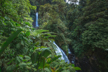 Magia Blanca Waterfall - La Paz Waterfall Gardens Nature Park - Costa Rica © LaraIris