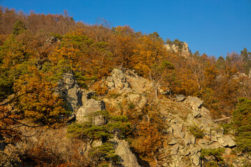 Golden autumn in the forest and mountains along the Donau river in Austria. Wachau region, Vogelberg mountain in the autumn season with yellow and orange leaves on the trees. Yellow leaf on october