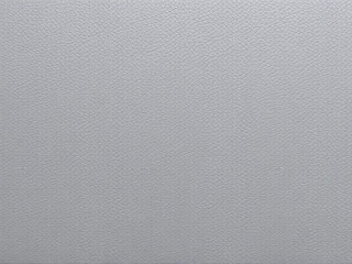 Fototapeta premium grey leather texture