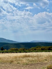 Golden field with distant hills under a sky filled with fluffy clouds