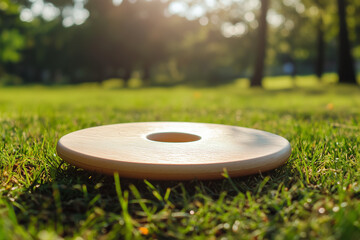 Frisbee on Lawn in Sunny Public Park for Fun Summer Outdoor Games
