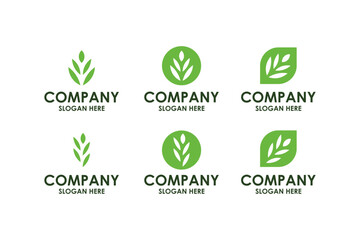 Set leaf logo. Green color. Leafs color icon. Leaves on white background.