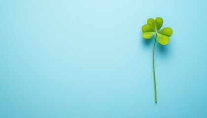A lone four-leaf clover against a blue background, symbolizing luck and rarity in a minimalistic style.