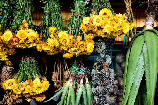 Traditional natural medicine market, dried herbs, plants and flowers, in Medellin, Colombia	