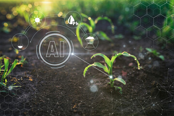 Smart Farm AI digital technology, agriculture smart monitoring plant application. Corn young sprout with sensors cyber display