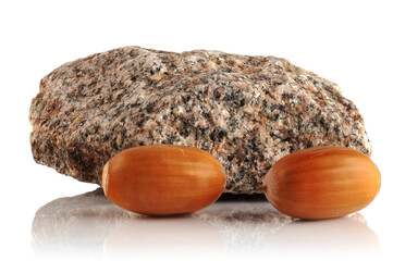 Two oak acorns and a stone