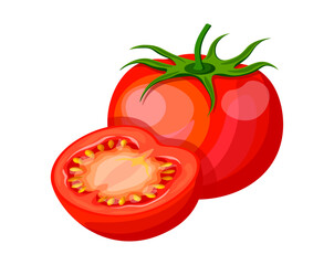 Set of fresh tomatoes in cartoon style. Vector illustration of delicious red tomatoes, whole and halves, with green stem, seeds isolated on white background. Useful vegetables.