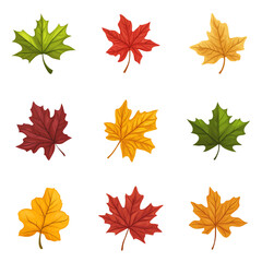 Fototapeta premium set of maple leaf vector design, leaf, nature, tree, icon, plant, vector, green, leaves, design, eco, illustration, set, ecology, spring, symbol, environment, logo, natural, floral, branch, art, grow