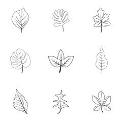 set of leaf line art vector, leaf, nature, tree, icon, plant, vector, green, leaves, design, eco, illustration, set, ecology, spring, symbol, environment, logo, natural, floral, branch, art, grow