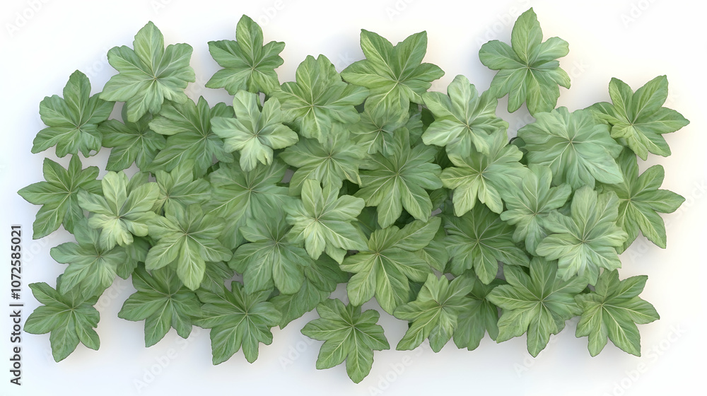 Wall mural a group of green leaves arranged in a random pattern on a white background.