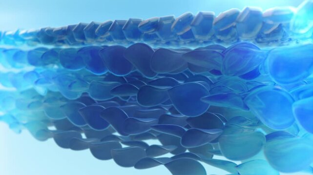 The UV rays from the sun can be damaging to the skin. ultraviolet (UV) rays from the sun be harmful to the skin. 3D Animation