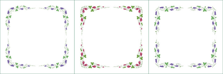 Set of green three vegetal vector frames with purple and pink grape vine.  Vector frame for all sizes and formats. Isolated vector illustration.	
