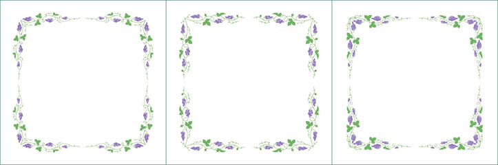 Set of green three vegetal vector frames with purple grape vine.  Vector frame for all sizes and formats. Isolated vector illustration.	
