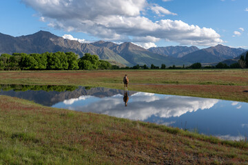 Scenic rural landscape with a horse and mountains and lake