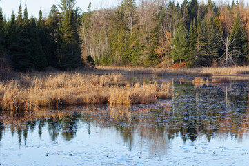 Marsh in early November