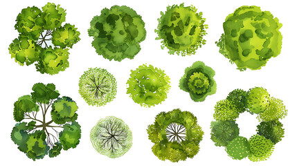 Set of abstract watercolor green tree top view isolated on white background for landscape plan and architecture layout drawing,elements for environment and garden close up