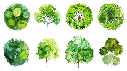 Set of abstract watercolor green tree top view isolated on white background for landscape plan and architecture layout drawing,elements for environment and garden close up