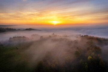 Zwei Kühe stehen im Morgennebel auf der Weide in einer ländlichen Region