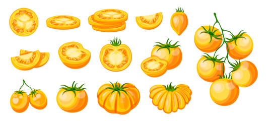 Set of juicy yellow tomatoes in cartoon style. Vector illustration of delicious tomatoes, whole, halves, slices, with green stems, seeds isolated on white background. A branch of cherry tomatoes.