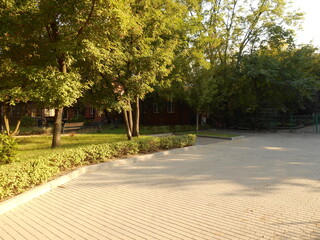 Fragment of the street and trees.