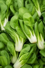 Fototapeta premium A close-up shot of fresh green bok choy, a type of Chinese cabbage, ready for cooking.