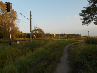 Landscape