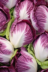 Obraz premium Close-up of a group of fresh red cabbages with white veins.