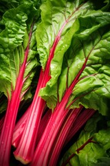 Close-up of fresh, vibrant red chard stalks with green leaves.