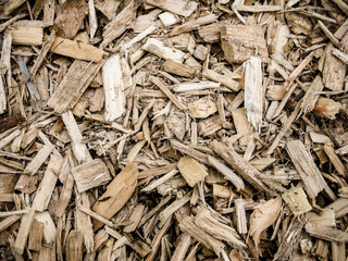 Wood Chips Mulch Bark Abstract Textured Background