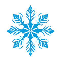Abstract Frozen Snowflake