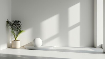Minimalist room with potted plant and sunlight
