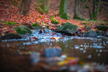 Close-up view of a small waterfall in an autumn forest stream with blurred water