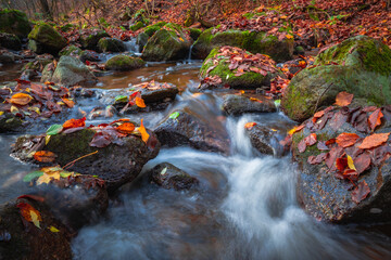 Close-up view of a small waterfall in an autumn forest stream with blurred water