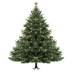 Fototapeta premium Classic Christmas tree decorated with garland lights, golden star on top. Festive decor for Xmas, New Year celebrations. Design element for cards, invitations, flyers, web, print, social media. Png.