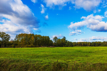 Expansive green field with vibrant grass under partly cloudy blue sky, bordered by autumn-colored trees. Sweden.