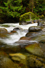 Fototapeta premium Rugged mountain river flows past moss covered boulder and smooth rocks