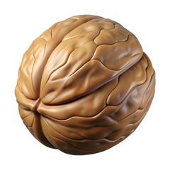 Walnut 3d illustration isolated on the transparent background