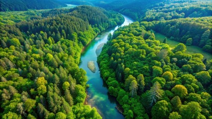 Aerial view of a natural river flowing through a lush forest , nature, river, forest, aerial, high view, water, landscape